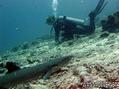 foto de buceo