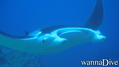 foto de buceo