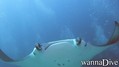 foto de buceo