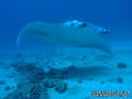 foto de buceo