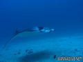 foto de buceo