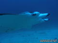 foto de buceo