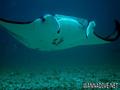 foto de buceo