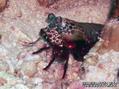 foto de buceo