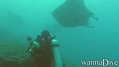 foto de buceo