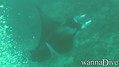 foto de buceo
