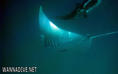 foto de buceo