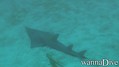 foto de buceo