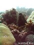 foto de buceo