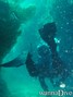 foto de buceo