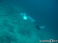 foto de buceo