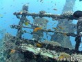 foto de buceo