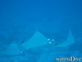 foto de buceo