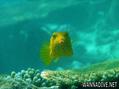 foto de buceo