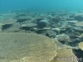 foto de buceo