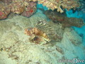 foto de buceo
