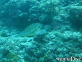 foto de buceo