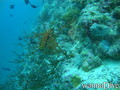 foto de buceo