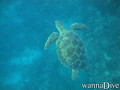 foto de buceo