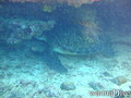 foto de buceo