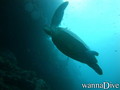 foto de buceo