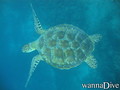 foto de buceo