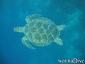 foto de buceo