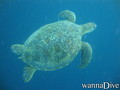 foto de buceo