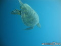 foto de buceo