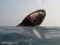 foto de buceo