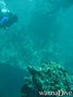 foto de buceo