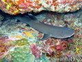 foto de buceo