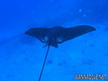 foto de buceo