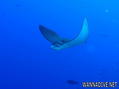 foto de buceo