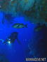 foto de buceo