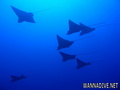 foto de buceo