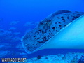 foto de buceo