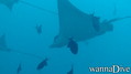 foto de buceo