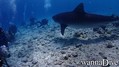 foto de buceo