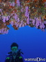 foto de buceo