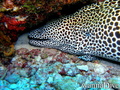foto de buceo