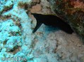 foto de buceo