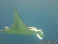 foto de buceo