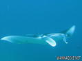 foto de buceo