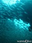 foto de buceo