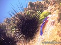 foto de buceo