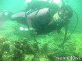 foto de buceo