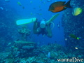 foto de buceo