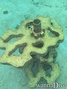 foto de buceo