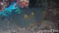 foto de buceo